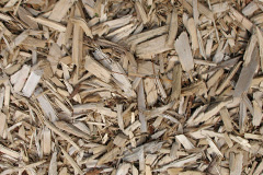 biomass boilers Flagg
